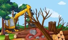 Mochamad Moro Asih: “Pembalakan Hutan Jadi Persoalan Serius Pelanggaran Hukum”