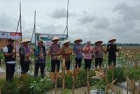 Desa Sukadiri Kecamatan Sukadiri Kabupaten Tangerang melakukan Panen Raya Jagung (Foto/Red) 