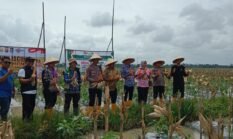 Panen Raya Jagung, Desa Sukadiri Dukung Program Ketahanan Pangan Nasional 