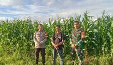 Jajaran Polsek Rajeg Polresta Tangerang melaksanakan kegiatan pengecekan perkembanga Tanaman Jagung Hibrida di wilayah Desa Jambu Karya, Kecamatan Rajeg, Kabupaten Tangerang, Sabtu (7/2/2026) (foto/Ast) 