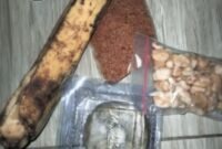 Menu MBG di SDN 2 Cibetok (foto/heri) 