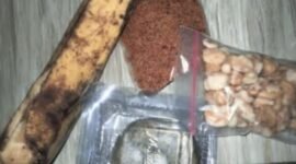 Menu MBG di SDN 2 Cibetok (foto/heri) 