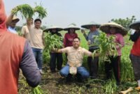 DPD Tani Merdeka Indonesia Kabupaten Tangerang melalui Sekretaris Angga Rensa H, bersama petani (foto/soleh)