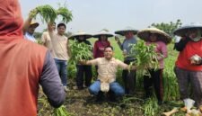 DPD Tani Merdeka Indonesia Kabupaten Tangerang melalui Sekretaris Angga Rensa H, bersama petani (foto/soleh)