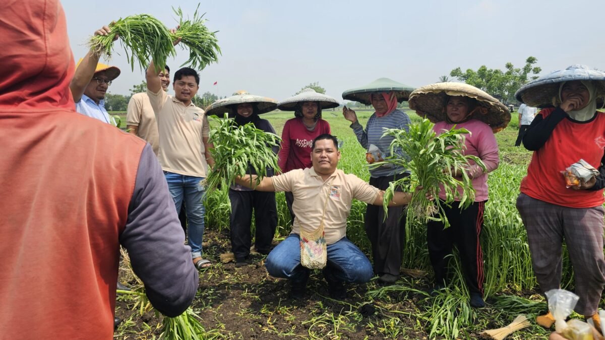 DPD Tani Merdeka Indonesia Kabupaten Tangerang melalui Sekretaris Angga Rensa H, bersama petani (foto/soleh)