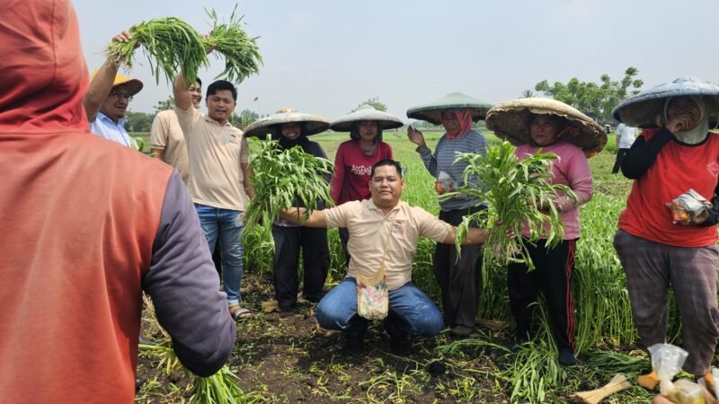 ‎DPD Tani Merdeka Indonesia Kabupaten Tangerang melalui Sekretaris Angga Rensa H, bersama petani (foto/soleh) 