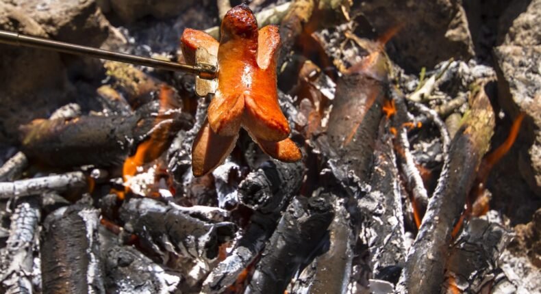 foto slider headline