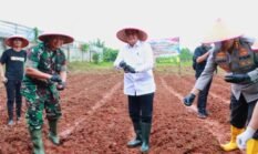 Perkuat Ketahanan Pangan, Bupati dan Unsur Forkopimda Gelar Tanam Raya Jagung Hibrida Serentak