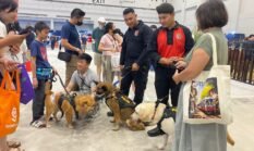 Polisi Satwa K-9 Ramaikan Pet Adventure Wonderland di PIK