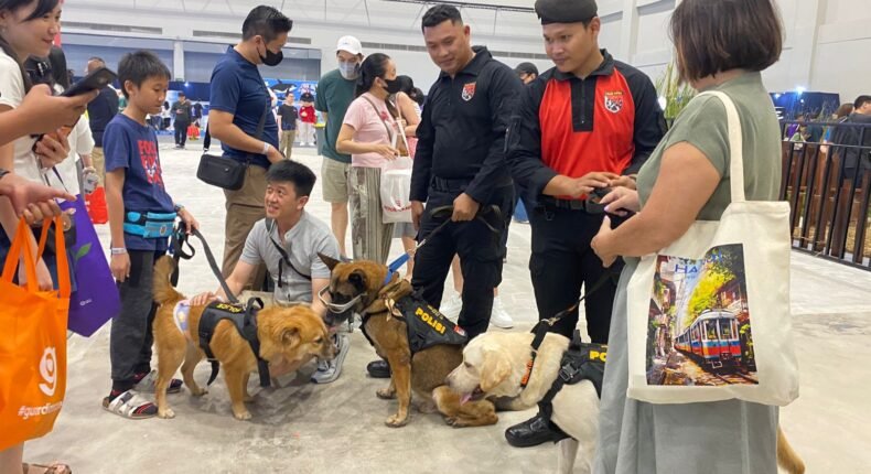 foto slider headline