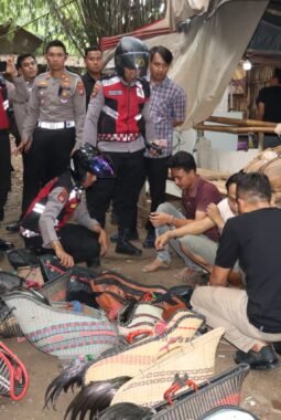 Judi Sabung Ayam di Tangerang Digerebek, Puluhan Ayam Diamankan
