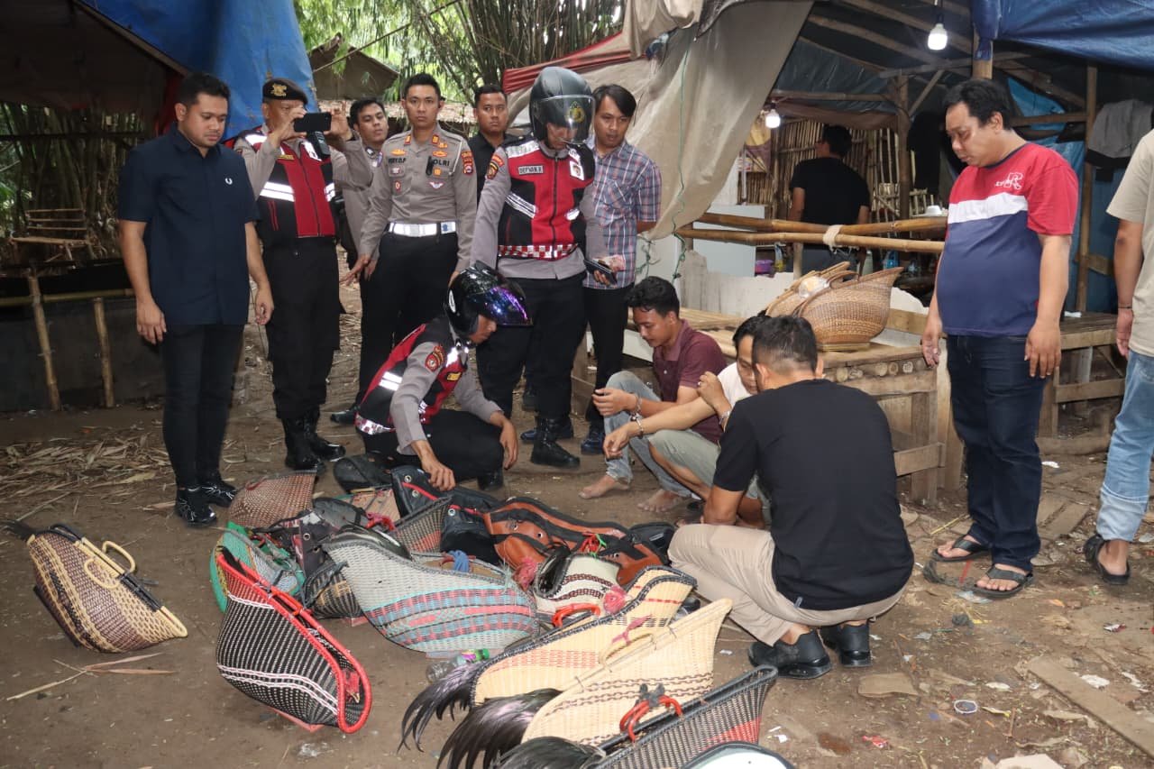 Judi Sabung Ayam di Tangerang Digerebek, Puluhan Ayam Diamankan
