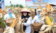 Wabup Tangerang hadiri Groundbreaking 10 Gudang Katahanan Polri dan Lunching 166 SPPG Polri di Desa Dangdang 