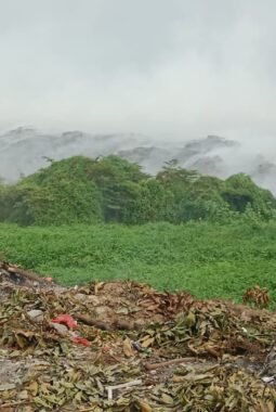 Bupati Tangerang Sampaikan TPA Jatiwaringin 100 Persen Bebas Api dan Asap 